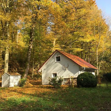 Villa das Waldhaus Bad Lauterberg im Harz Exterior foto