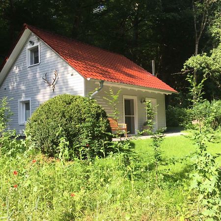 Villa das Waldhaus Bad Lauterberg im Harz Exterior foto