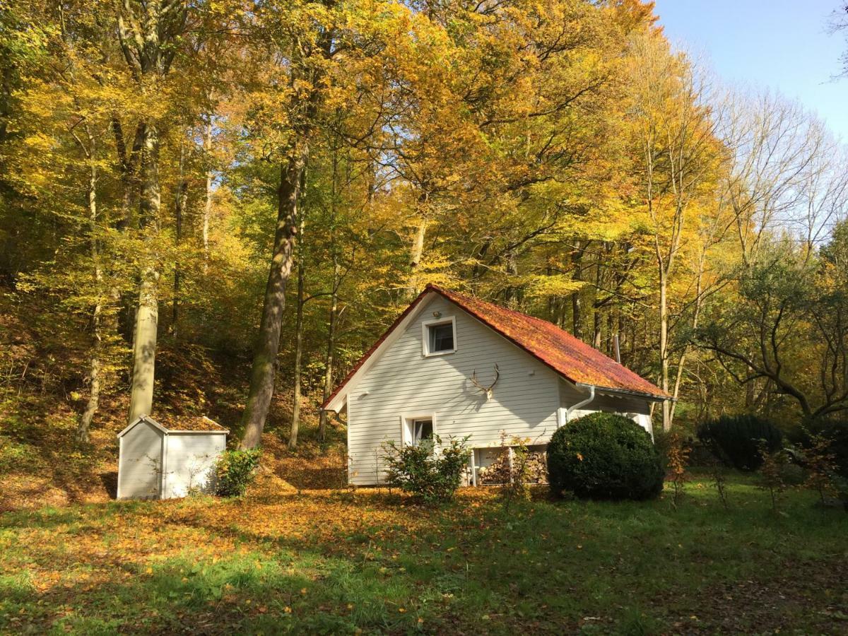 Villa das Waldhaus Bad Lauterberg im Harz Exterior foto